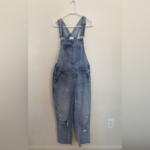 Neuflora Silverton Overalls, Medium